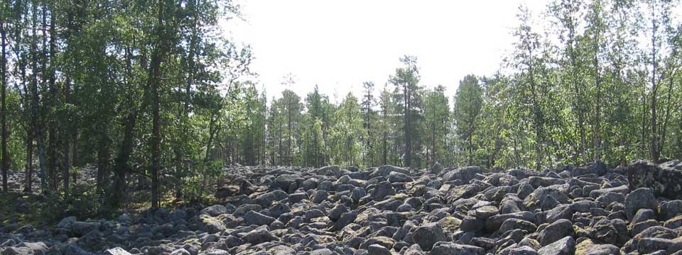 Omakoti- ja mökkitalkkaripalvelut Vääksystä</br>Luotettavaa kiinteistönhuoltoa Päijät-Hämeessä jo vuodesta 2011 lähtien