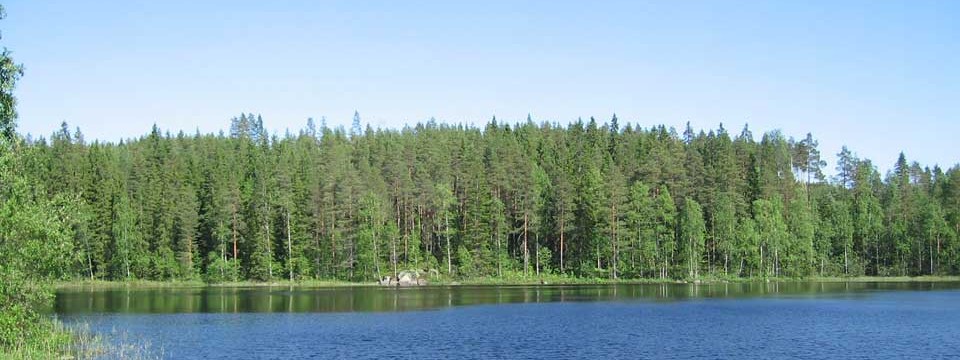 Lumien auraukset pihoilta ja katoilta</br>Lumien tultua hoidamme lumityösi lumilingolla tai kolaten